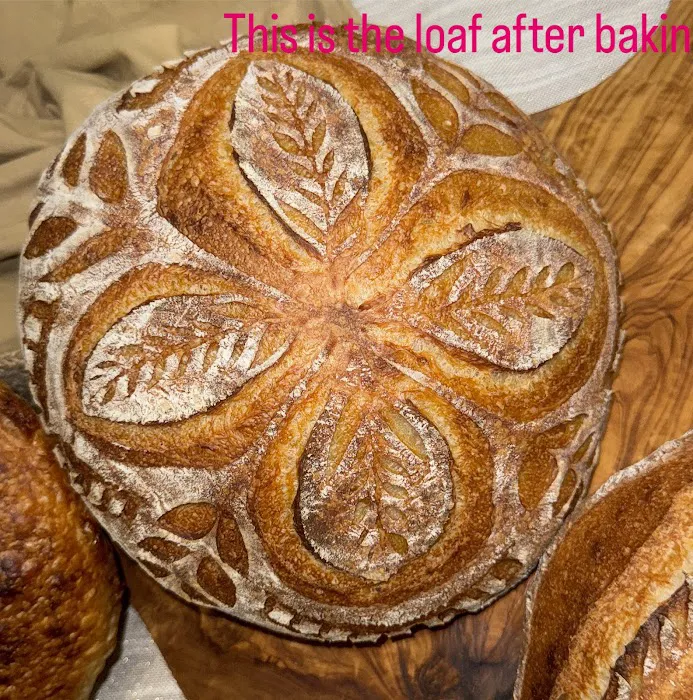 sourdough Miami Picture 5
