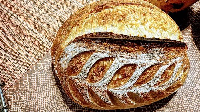 sourdough Miami Picture 10