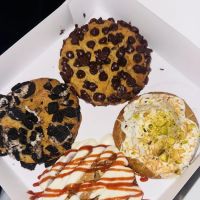 Night Owl Cookies ico