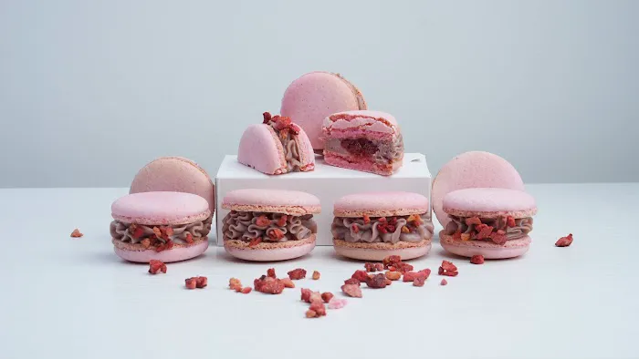 Macaron.de.miami Picture 5