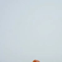 Macaron.de.miami ico