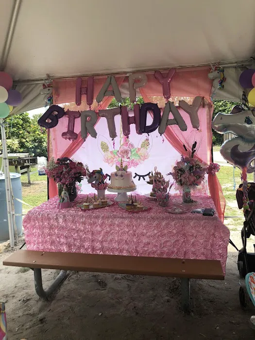 Madelyn's Cake Picture 10