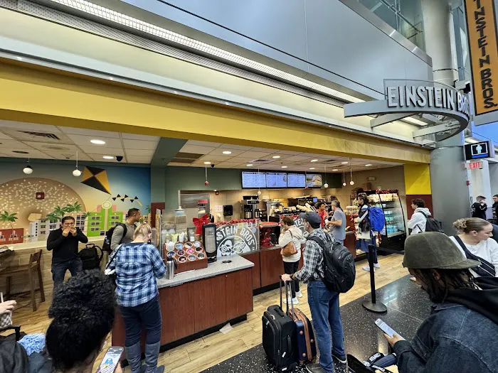Einstein Bros. Bagels Picture 3
