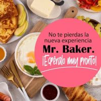 Mr. Baker ico