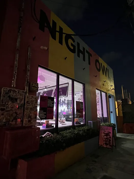 Night Owl Cookies Picture 7
