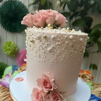 Stivaly's Cakes ico