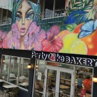 Party Cake Bakery ico
