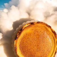 Chèvre Cheesecake Bakery ico