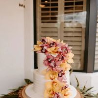 Sweet Art Cakes Miami The Original Lucilas Cake ico