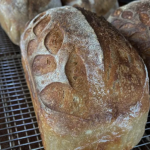 Sunny Times Bread Picture 2