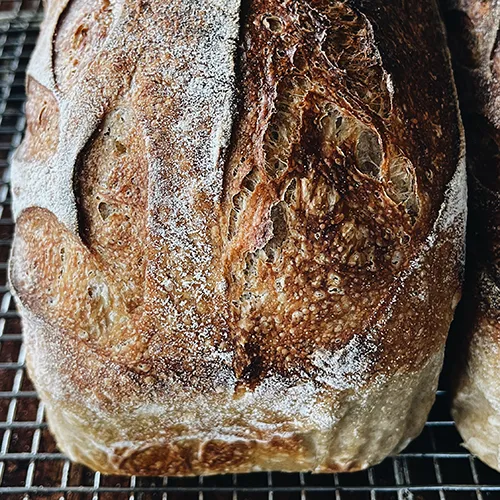 Sunny Times Bread Picture 7