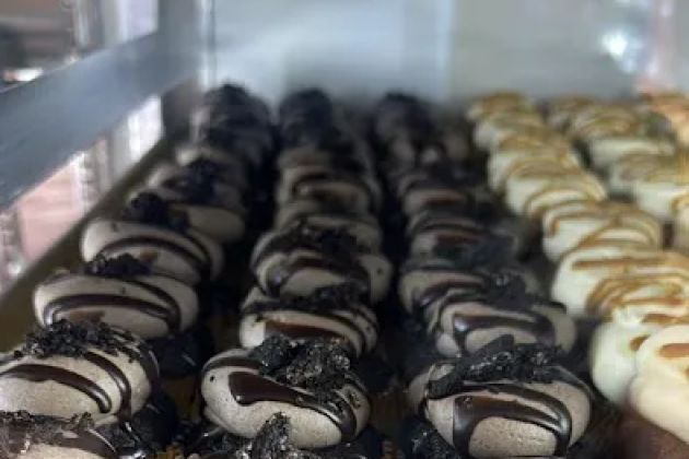 dbakers Sweet Studio