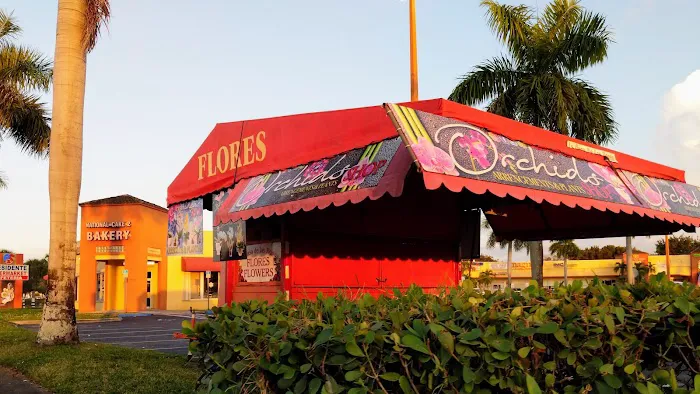 National Cakes Bakery II Picture 3