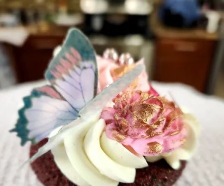 Alvi Pastry Arts