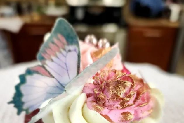 Alvi Pastry Arts