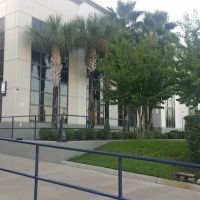 Turano Florida Bun, LLC ico