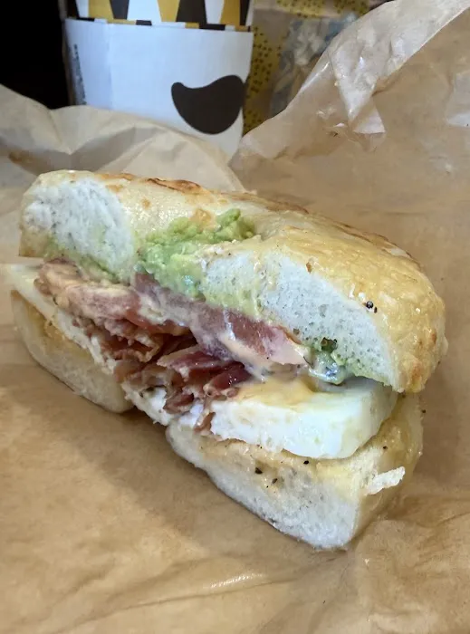 Einstein Bros. Bagels Picture 7