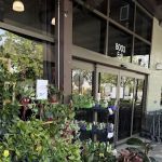 Whole Foods Bakery