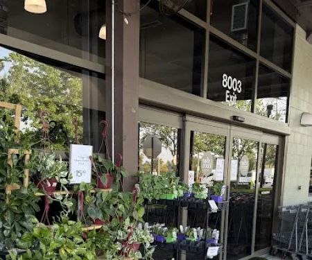 Whole Foods Bakery