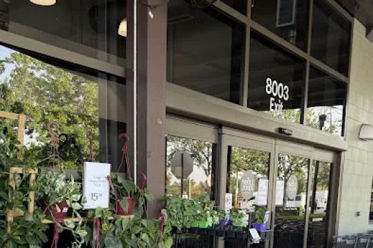 Whole Foods Bakery