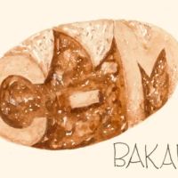 CM Bakari ico