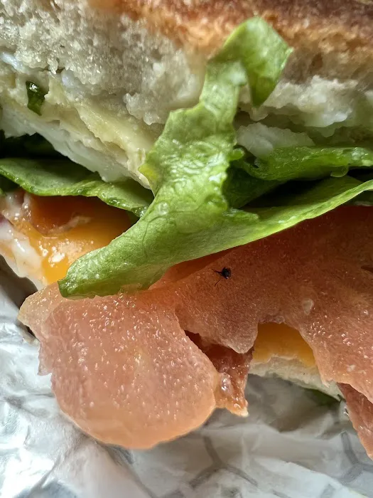 Einstein Bros. Bagels Picture 8