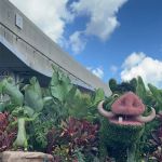 Earth Eats