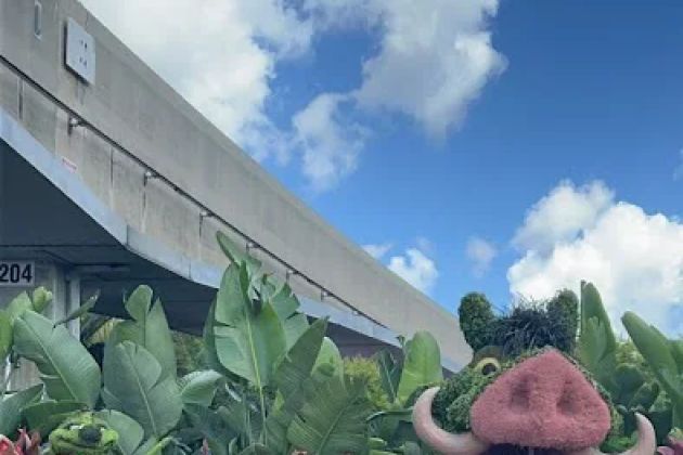 Earth Eats