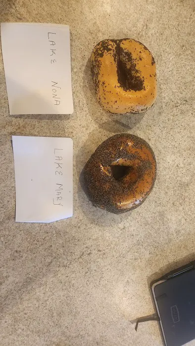 Brooklyn Water Bagel Picture 3