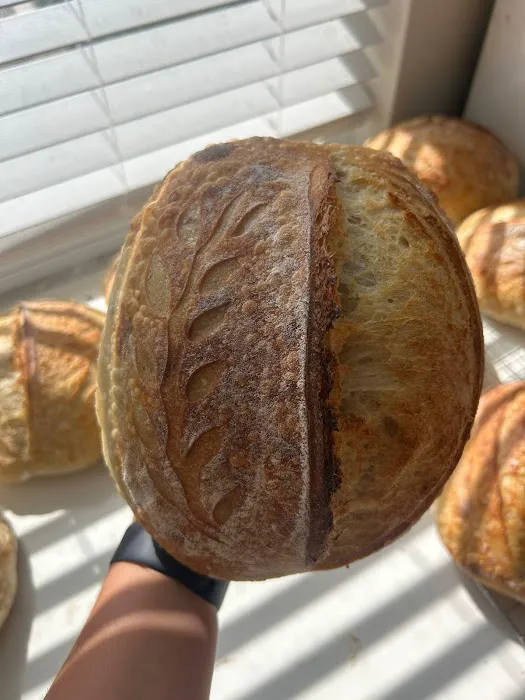 ARTILUX SOURDOUGH Picture 4