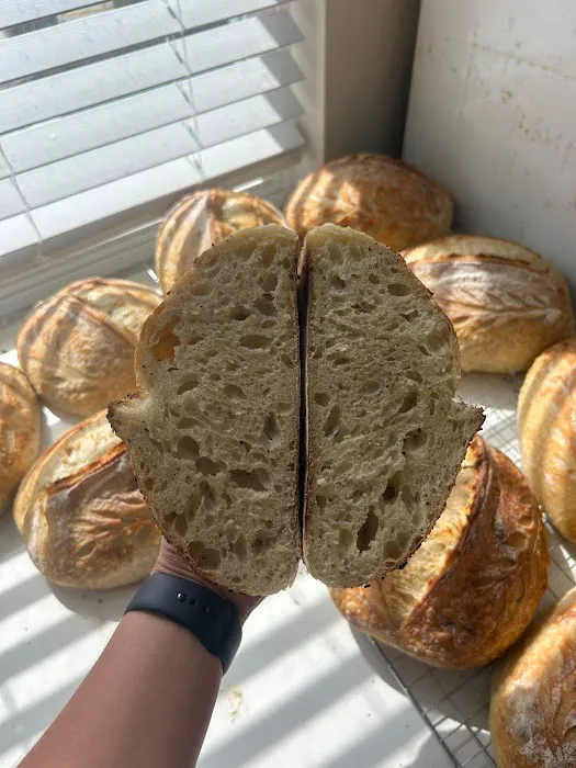 ARTILUX SOURDOUGH Picture 5