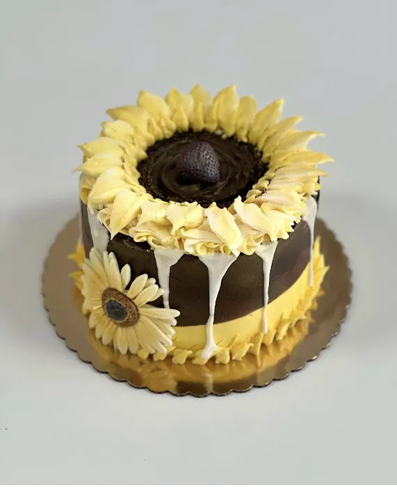 Cocoa Cake Studio Picture 8