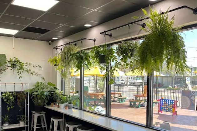 DG Doughnuts