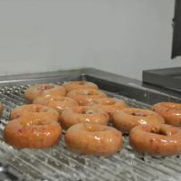 Donut Palace ico