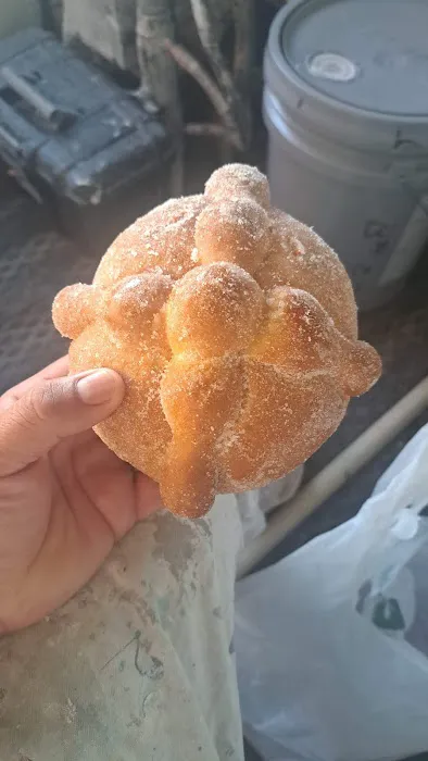 Panaderia Mexicana Cardenas Picture 8