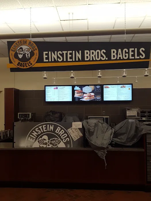 Einstein Bros. Bagels Picture 3