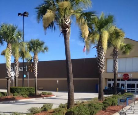 Walmart Bakery