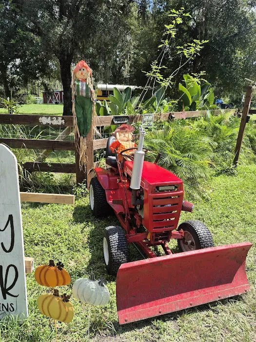 Faith, Family & Flour Farmstand Picture 9