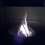 Fleur-de-licious by Chele