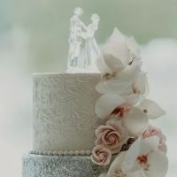 Michael Anthony Cakes ico