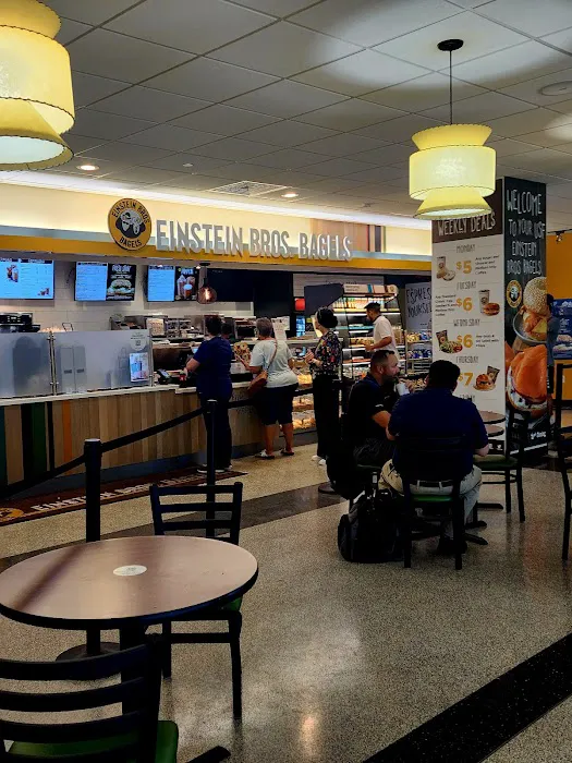 Einstein Bros. Bagels Picture 8