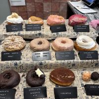 The Salty Donut ico
