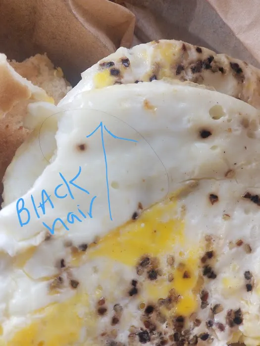 Einstein Bros. Bagels Picture 5