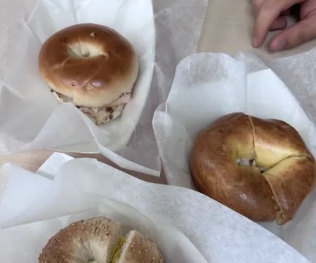 Fishhawk Bagels