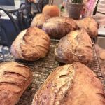 Knead & Noodle