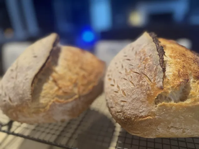 The Nest Micro Bakery Picture 1