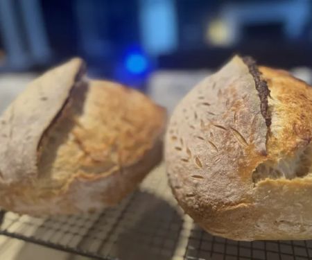 The Nest Micro Bakery