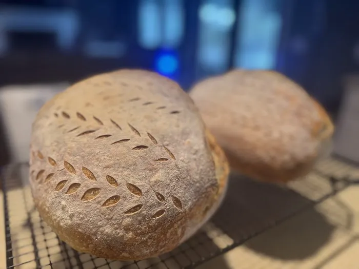 The Nest Micro Bakery Picture 4