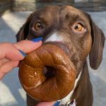 Einstein Bros. Bagels