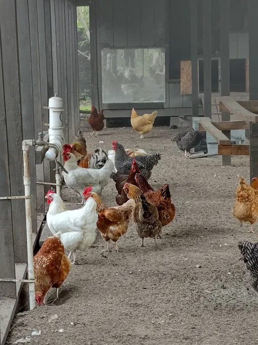Wingspread Farm Picture 9